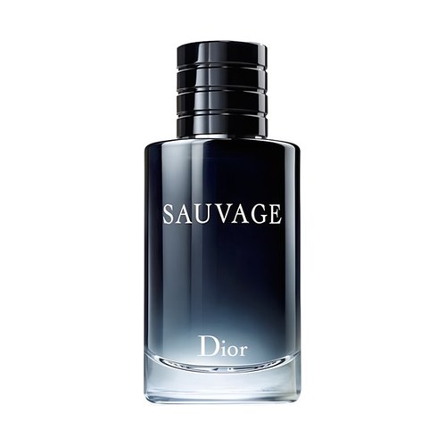 Dior SAUVAGE Extrait — Fresh
