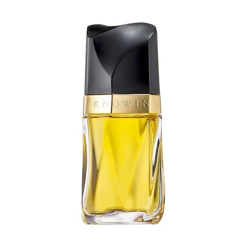 Estée Lauder KNOWING