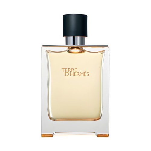 Hermes TERRE D'HERMES — perfume